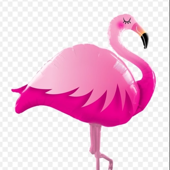 michtheflamingo